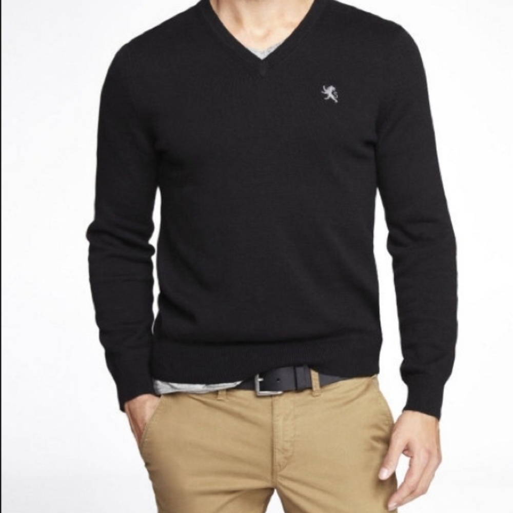 Express Mens Sweater